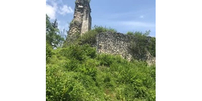 Pensionen - Art der Pension: Frühstückspension - Seewalchen am Attersee - Wanderung zur Ruine Wildenstein. Man wandert direkt von der Unterkunft weg - Wagnermoosgut