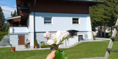 Pensionen - WLAN - Hohe Tauern - Hausfoto - Appartements am See