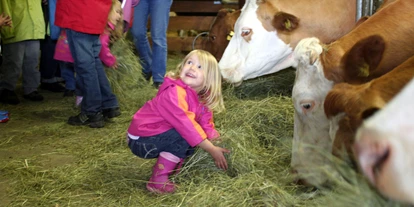 Pensionen - Restaurant - Ferienhof Neusacher Moser