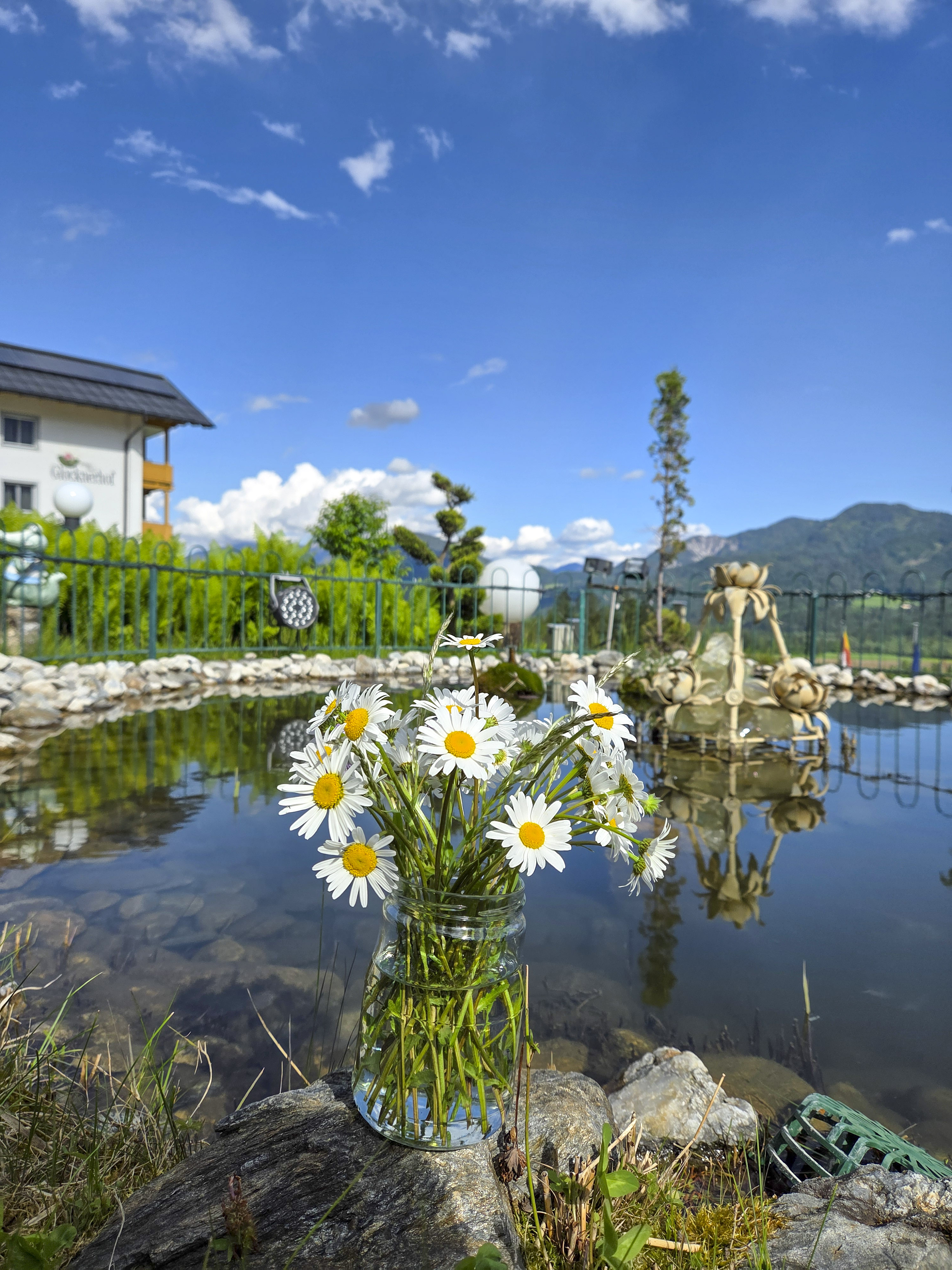 Frühstückspension: Frühling im Glocknerhof – Teich - Hotel Glocknerhof