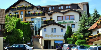 Pensionen - Parkplatz: kostenlos bei der Pension - Franken - Hausansicht - Landhotel Spessartruh