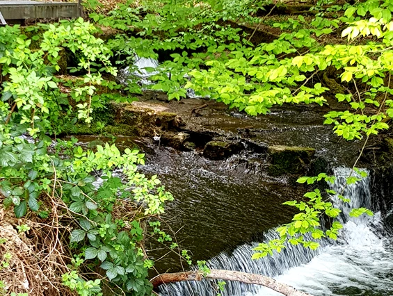 Frühstückspension: Landschaft - Landhotel Spessartruh