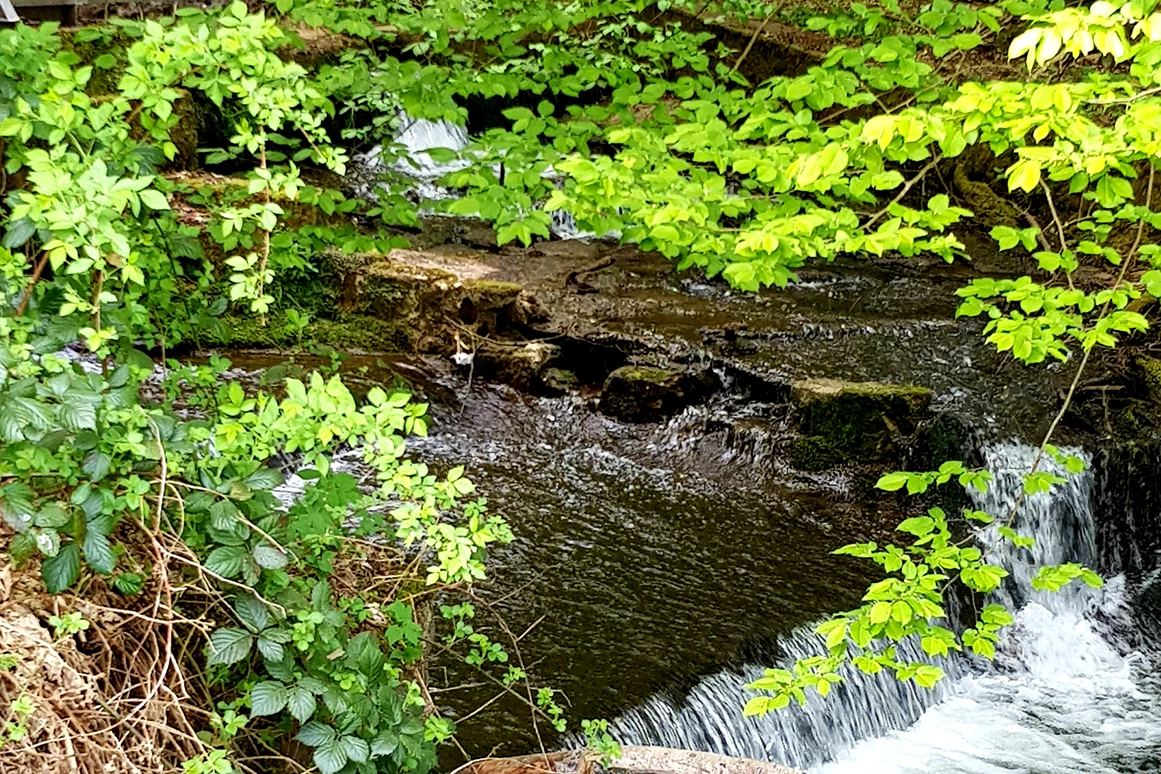 Frühstückspension: Landschaft - Landhotel Spessartruh