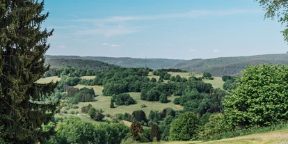 Pensionen - Parkplatz: kostenlos bei der Pension - Franken - Landhotel Spessartruh