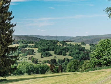 Frühstückspension: Landhotel Spessartruh