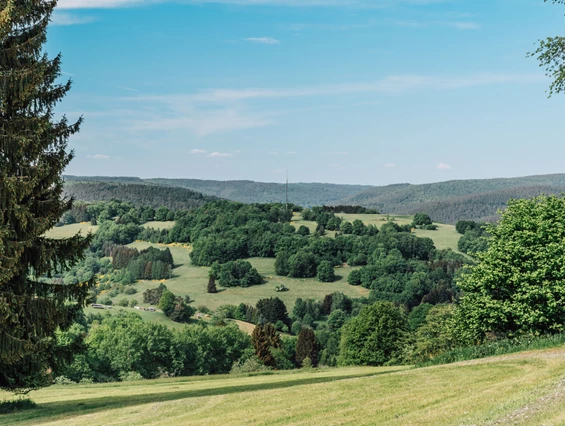 Frühstückspension: Landhotel Spessartruh