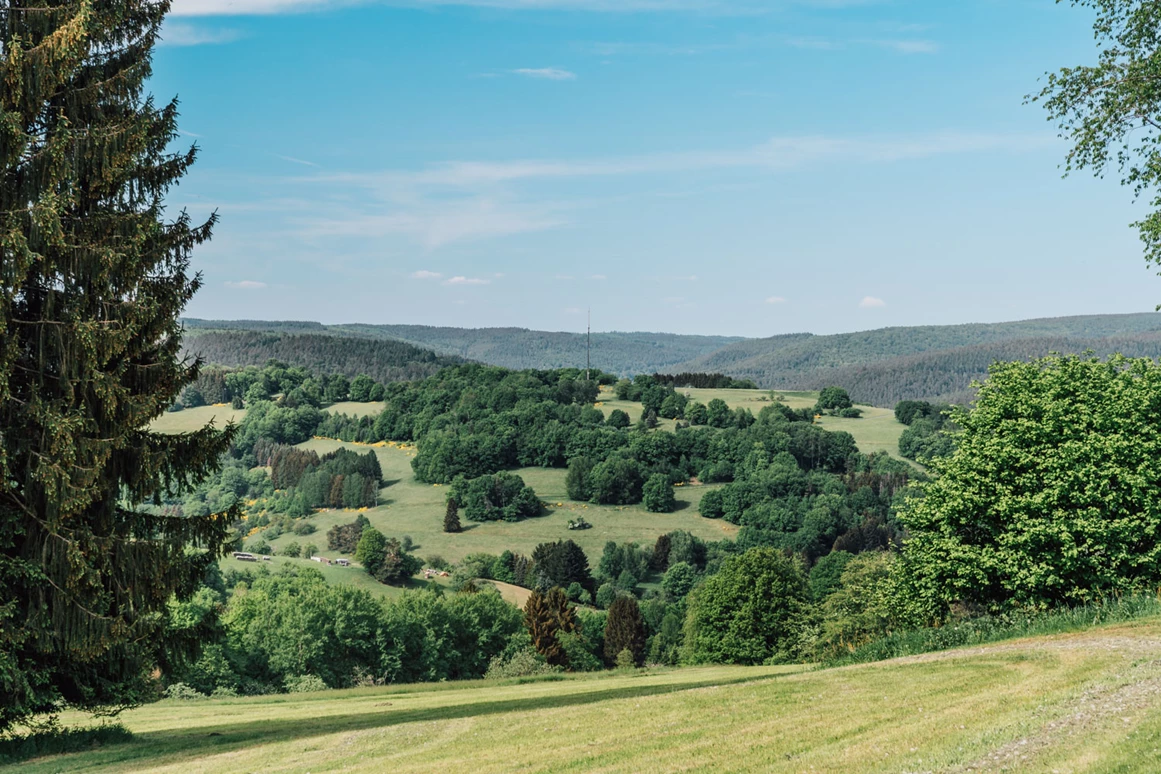 Frühstückspension: Landhotel Spessartruh
