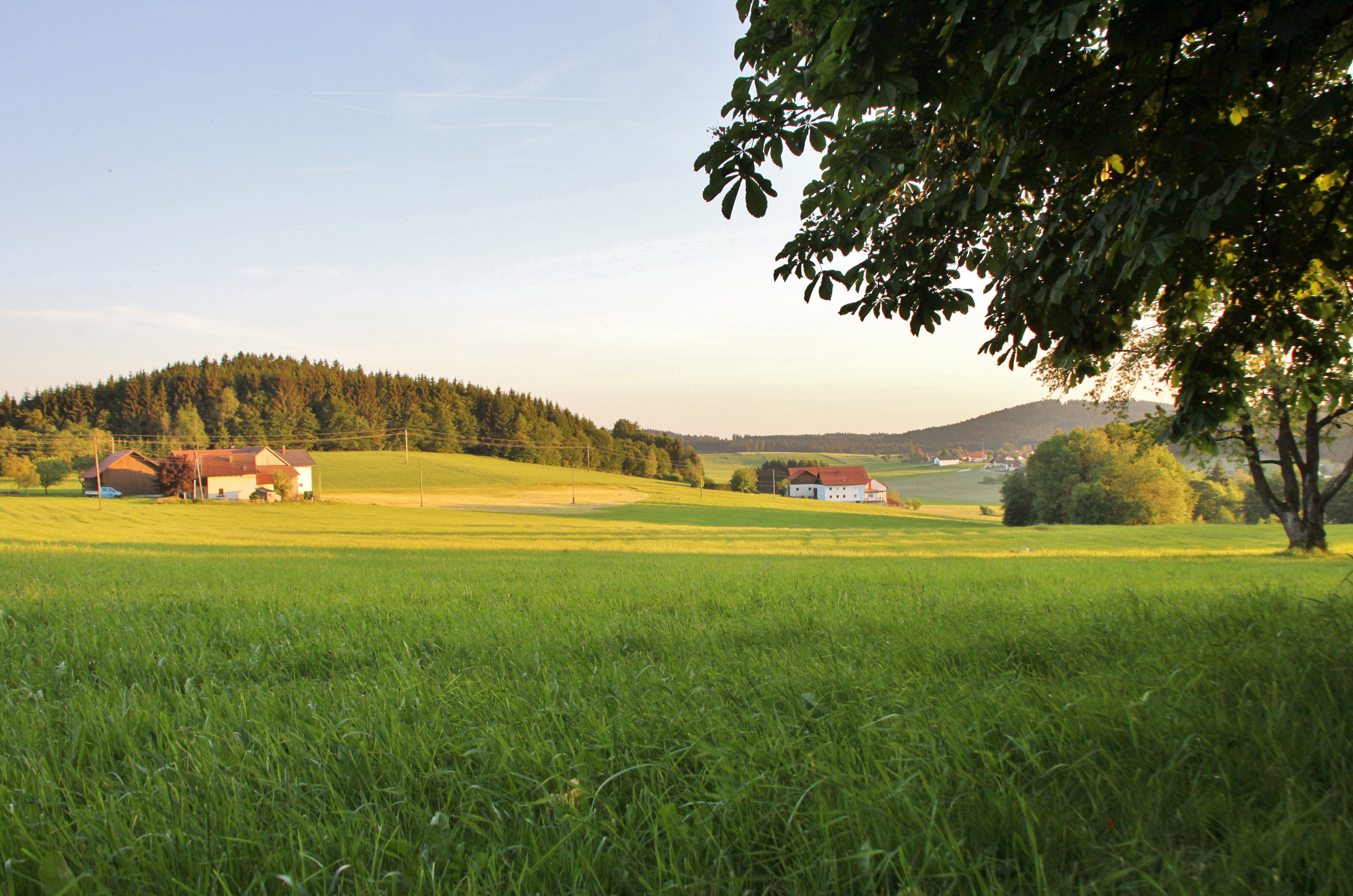 Frühstückspension: Gasthof Pension "Zum Haugstein"