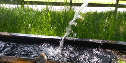 Pensionen - Parkplatz: kostenlos bei der Pension - Alpbach - Erfrischendes Quellwasser direkt vom Hausbrunnen - NATURPENSION Mühlhof
