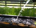 Frühstückspension: Erfrischendes Quellwasser direkt vom Hausbrunnen - NATURPENSION Mühlhof