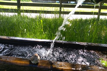 Frühstückspension: Erfrischendes Quellwasser direkt vom Hausbrunnen - Pension Mühlhof