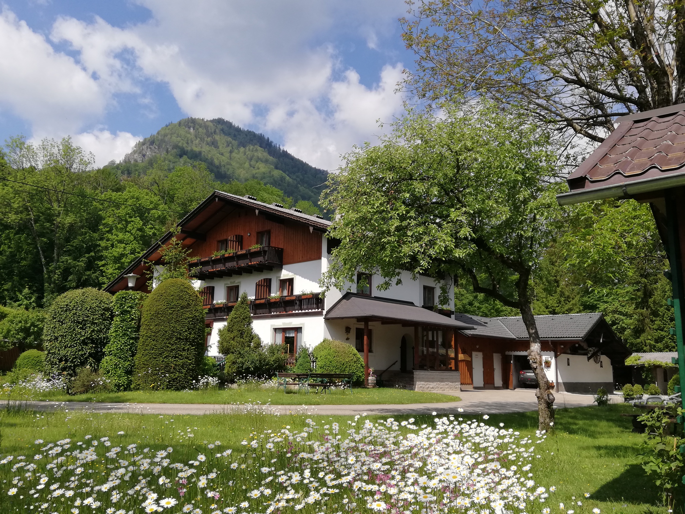Pensionen - Pinsdorf - Hausansicht Kasbergblick - Pension Kasbergblick