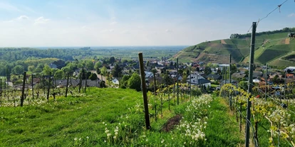 Pensionen - Bühl (Rastatt) - Unser Hausberg - das Vollmersbacher Köpfle mit Blick bis in die Rheinebene - Gästehaus Wörner