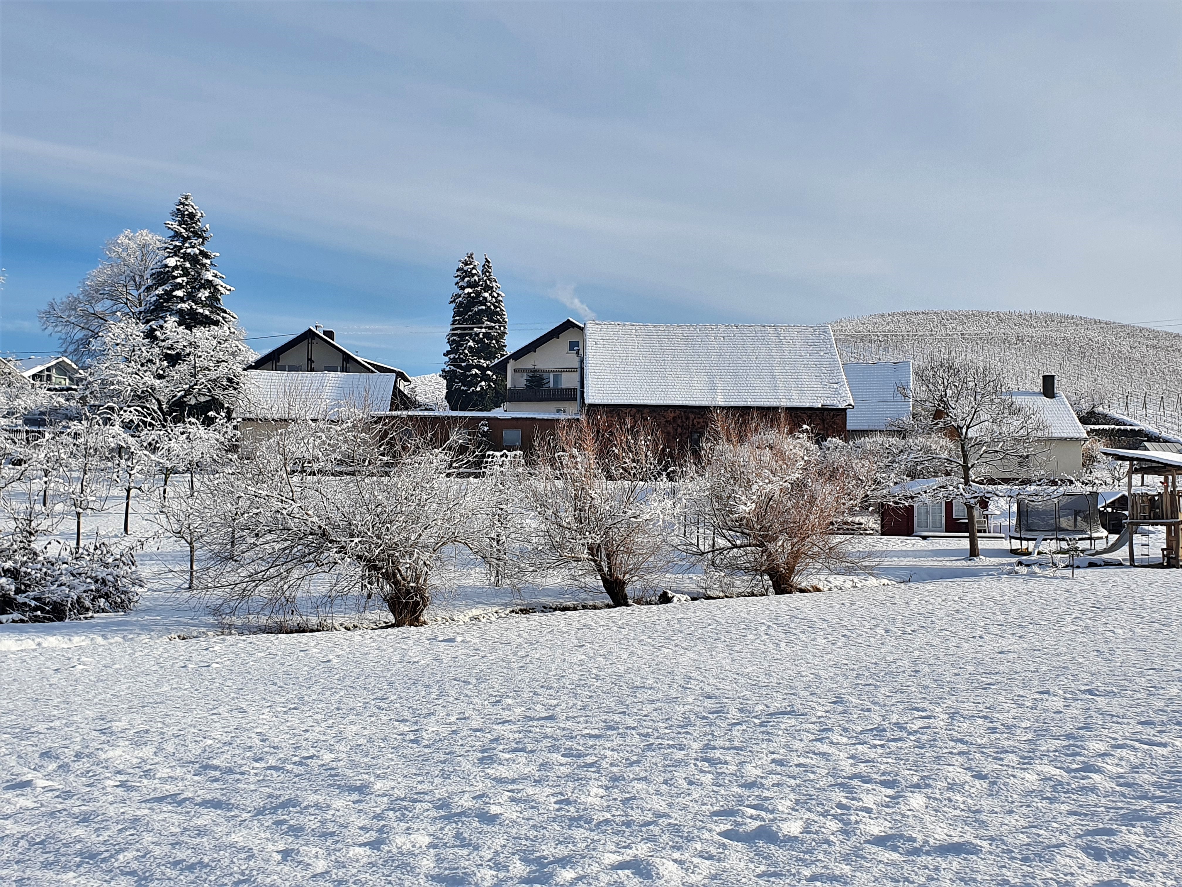 Frühstückspension: Winter - Gästehaus Wörner
