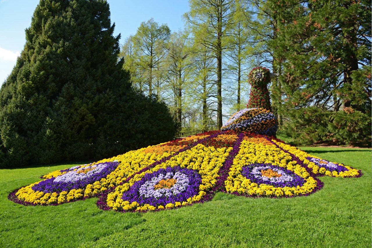 Fischerhaus Hotel Garni Ausflugsziele Insel Mainau