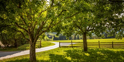Pensionen - Parkplatz: kostenlos bei der Pension - Alpbach - Obstbäume - Obertrattenbachhof