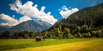 Pensionen - Parkplatz: kostenlos bei der Pension - Alpbach - Blick vom Haus - Obertrattenbachhof