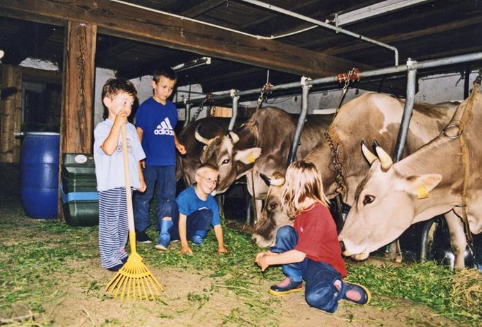 Pensionen - Hinterstoder - Ferienhof Bruderhof
