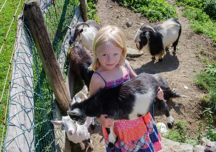 Frühstückspension: Ferienhof Bruderhof