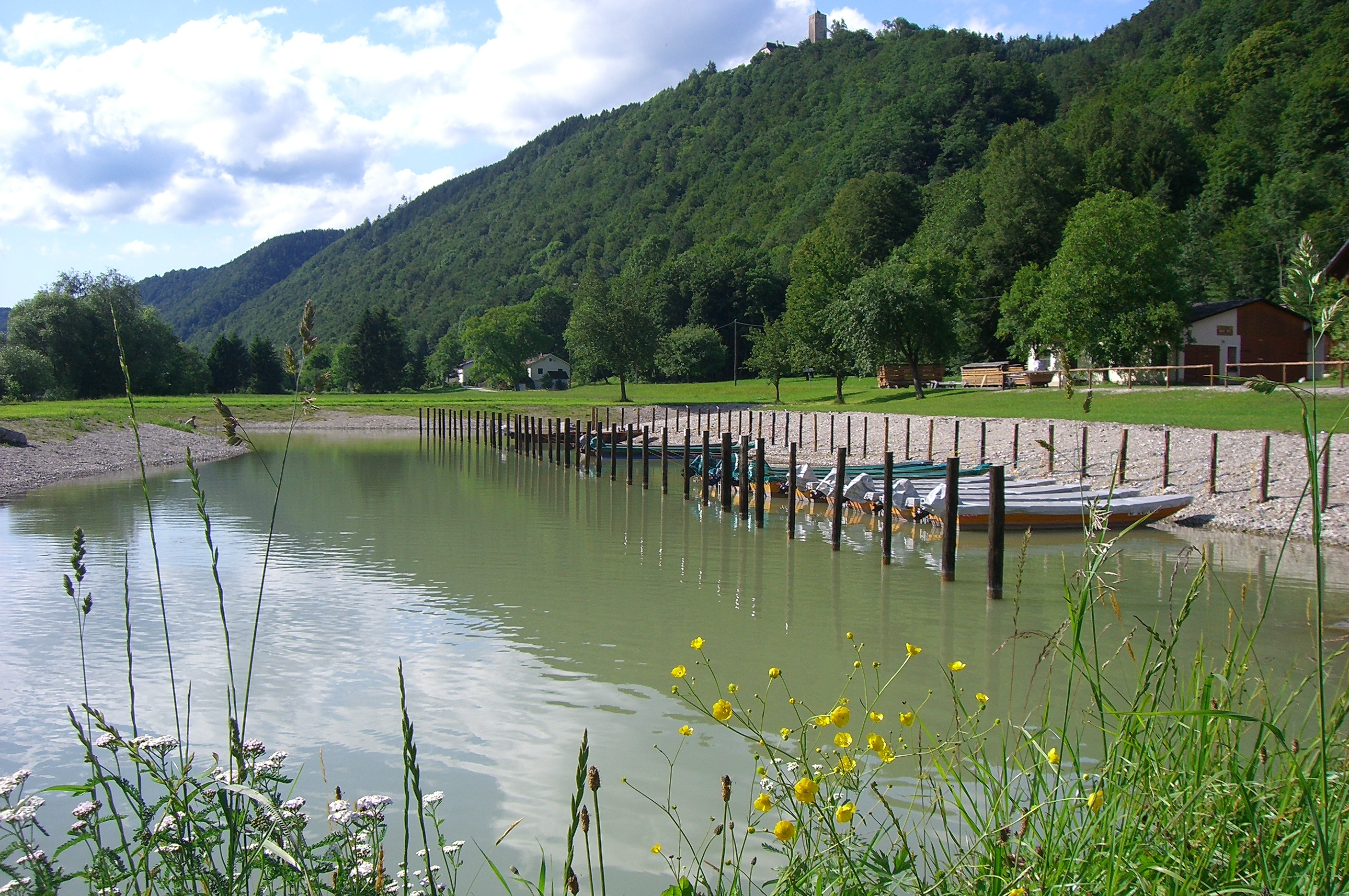 Frühstückspension: Zillenhafen Witti an der Donau - Donautraum-Blick  Bio -  Eselgut