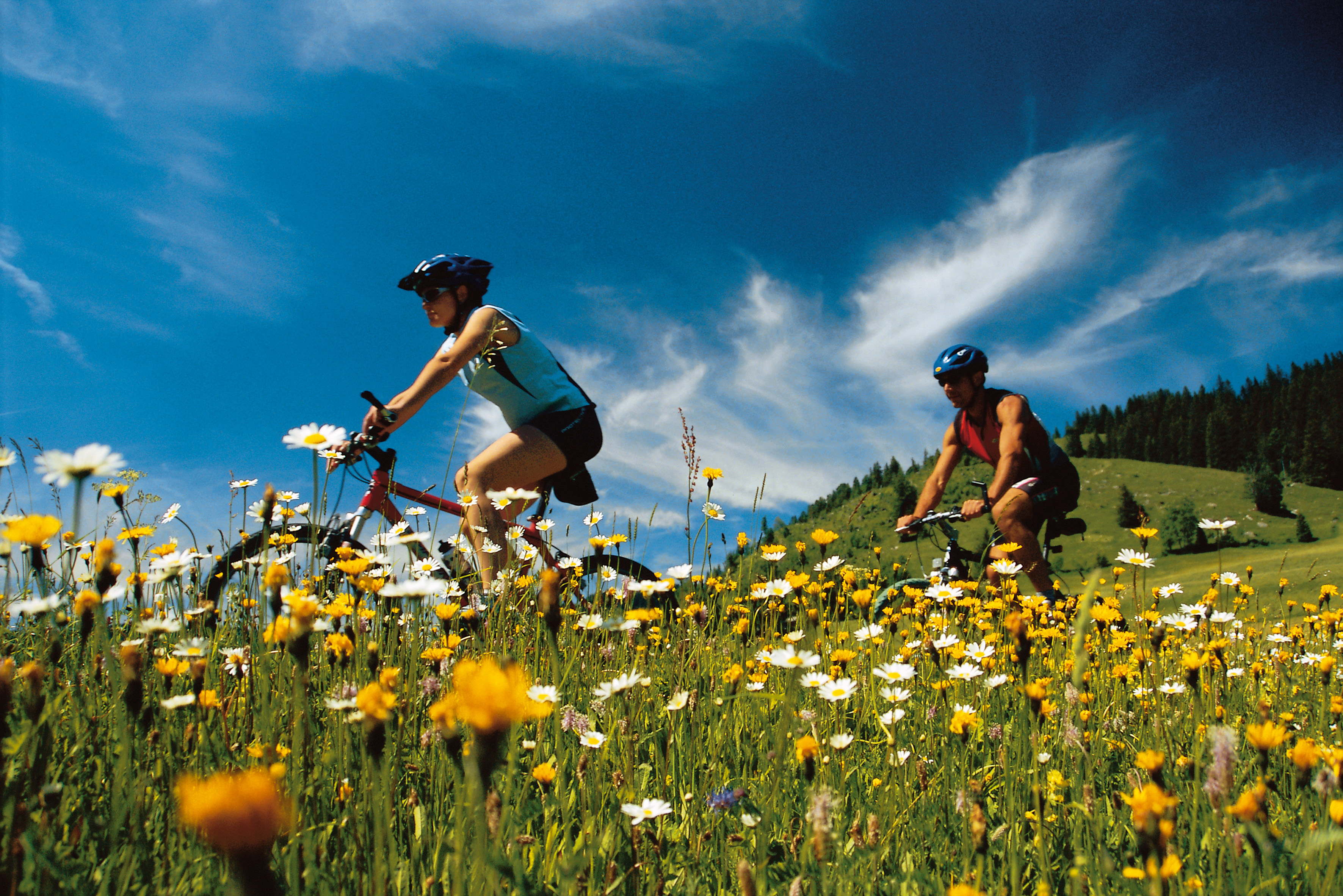 Frühstückspension: Gasthof Greiner