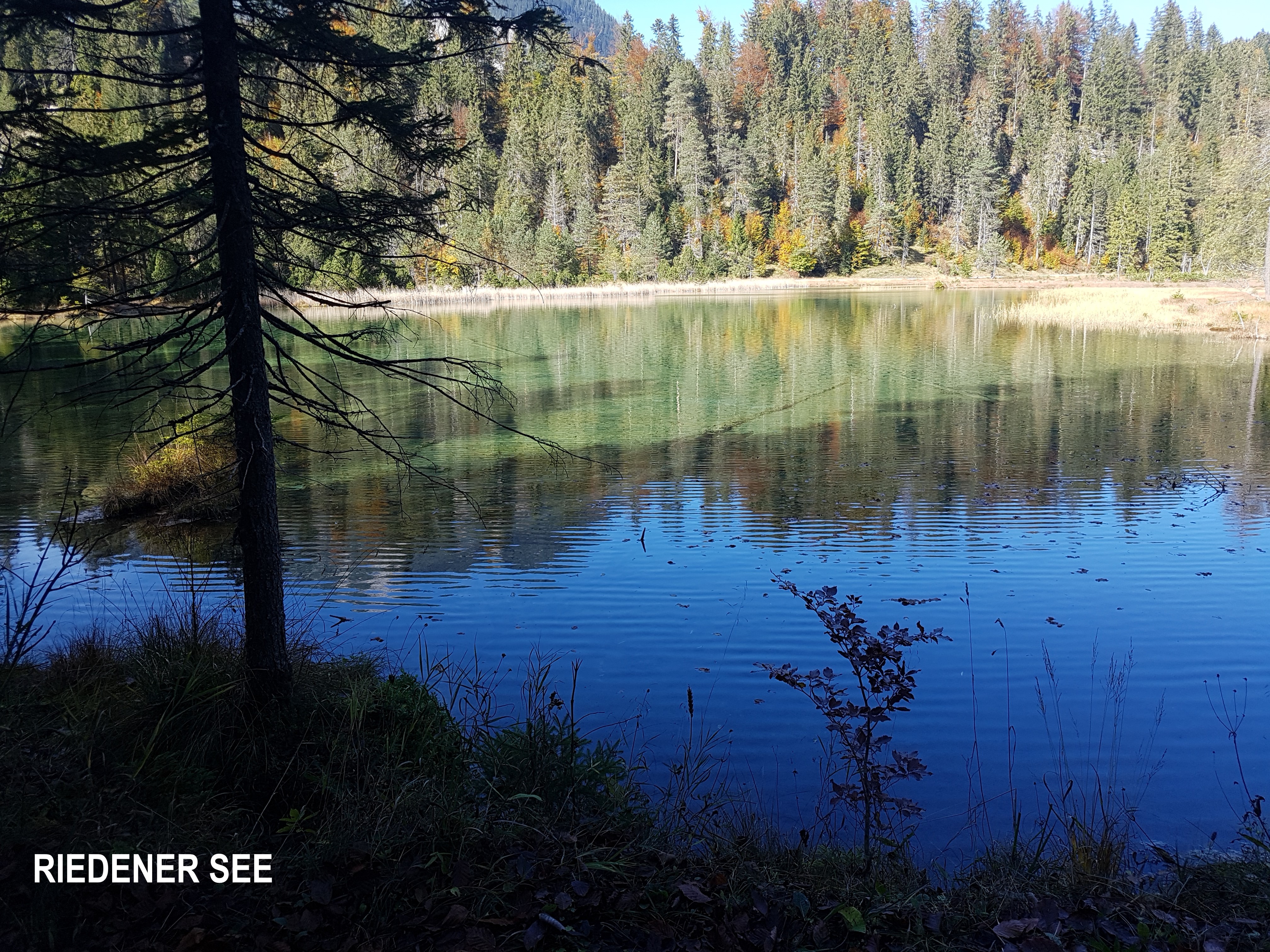 Frühstückspension: Naturschutzgebiet - KOMFORT-FEWO BERGWELT HAHNENKAMM   - Lechtal - So/Wi
