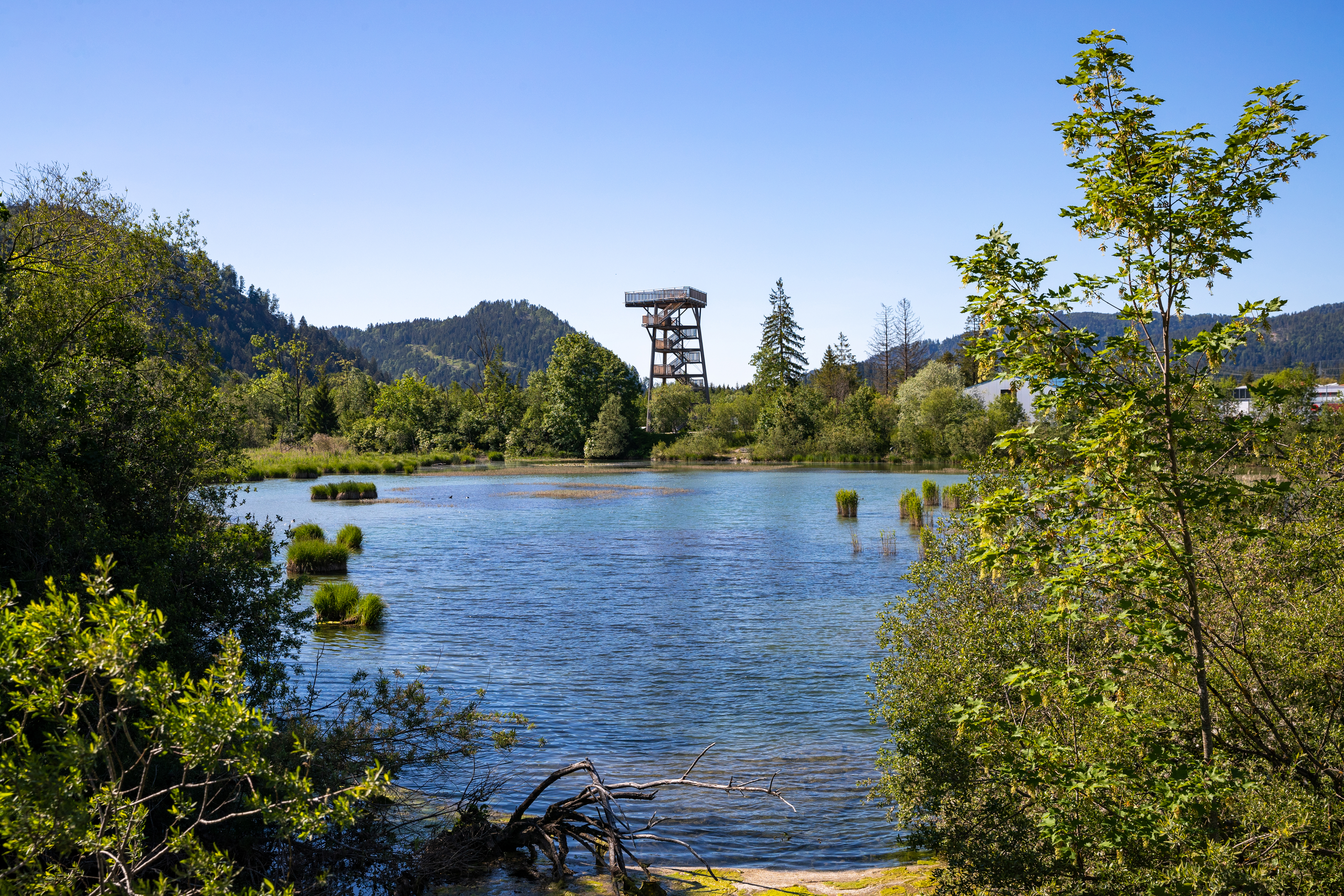Frühstückspension: Vogelturm am Lech - KOMFORT-FEWO BERGWELT HAHNENKAMM   - Lechtal - So/Wi