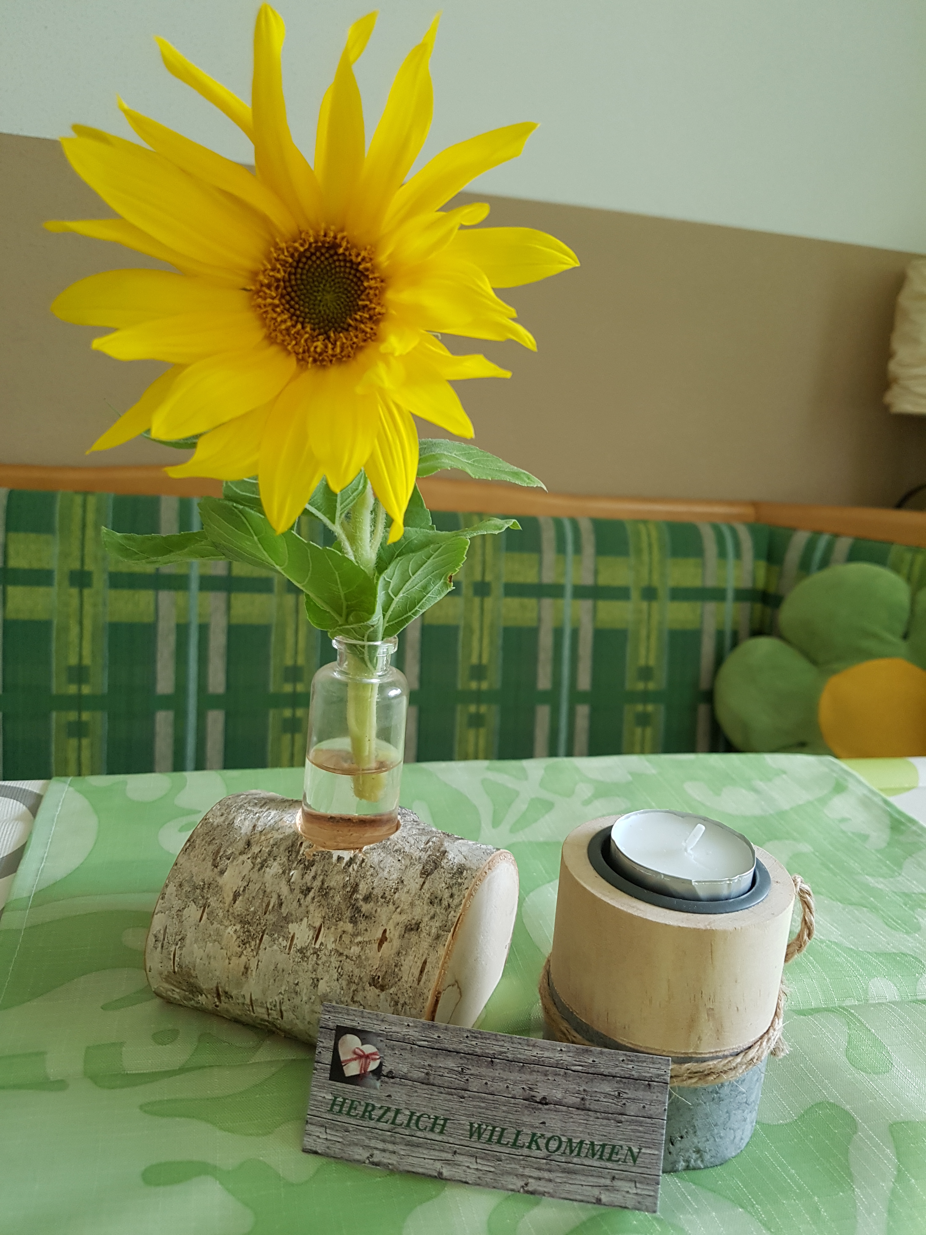 Frühstückspension: KOMFORT-FEWO BERGWELT HAHNENKAMM   - Lechtal - So/Wi