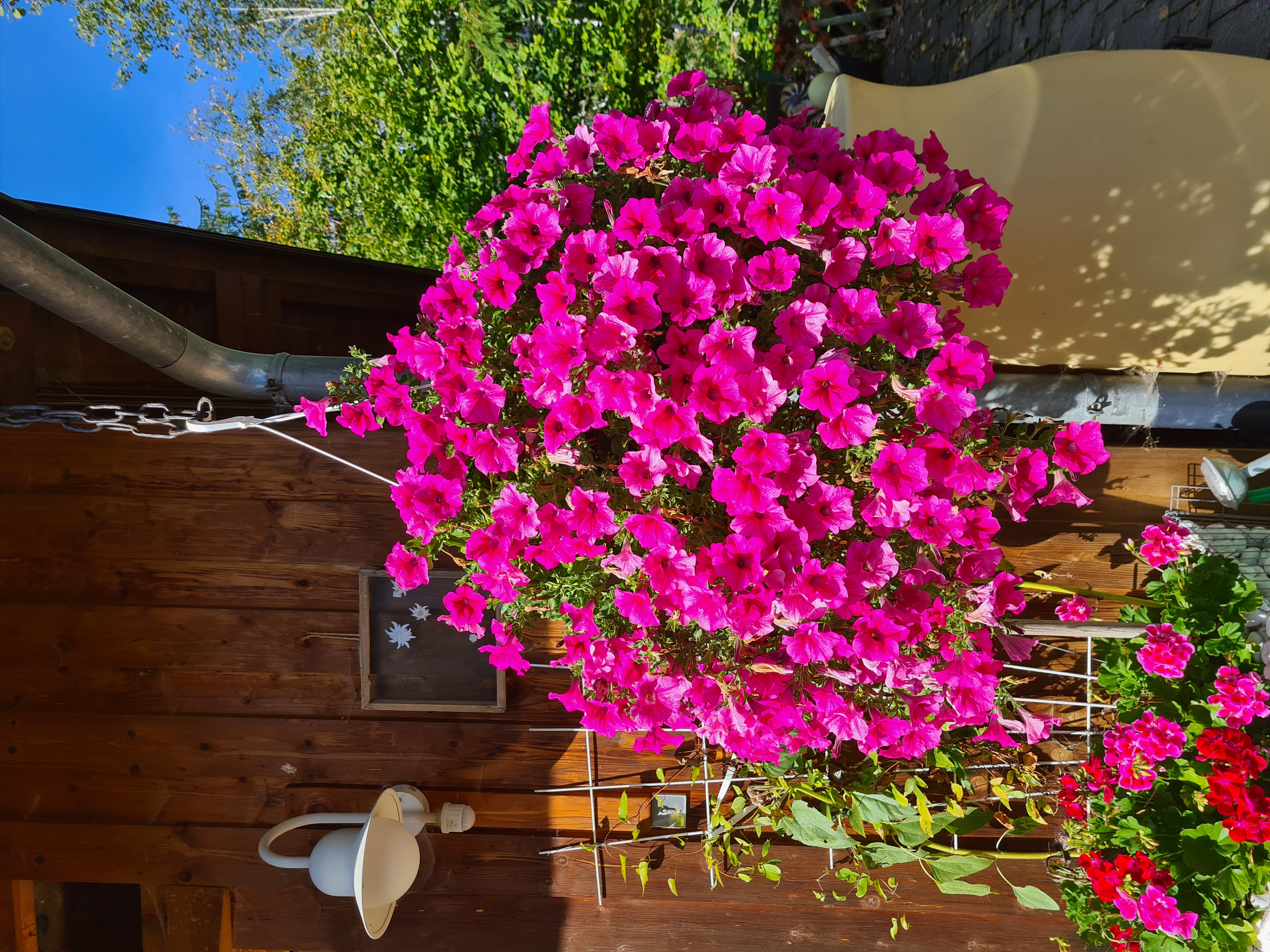 Frühstückspension: KOMFORT-FEWO BERGWELT HAHNENKAMM   - Lechtal - So/Wi