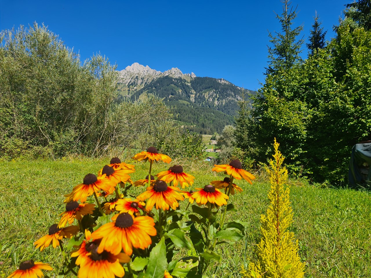 KOMFORT-FEWO BERGWELT HAHNENKAMM   - Lechtal - So/Wi Ausflugsziele unser Garten Blick Hahnenkamm