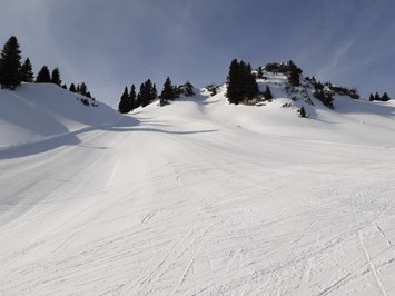 KOMFORT-FEWO BERGWELT HAHNENKAMM   - Lechtal - So/Wi Ausflugsziele Skigebiet Bergwelt Hahnenkamm