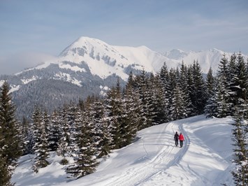 KOMFORT-FEWO BERGWELT HAHNENKAMM   - Lechtal - So/Wi Ausflugsziele Winterwandern