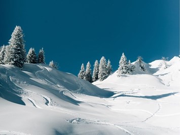 KOMFORT-FEWO BERGWELT HAHNENKAMM   - Lechtal - So/Wi Ausflugsziele Skigebiet