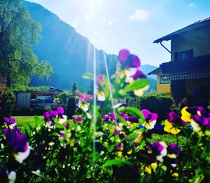 Frühstückspension: Rosy's House Pension Privatzimmer