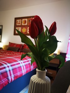 Frühstückspension: Rosy's House Pension Privatzimmer