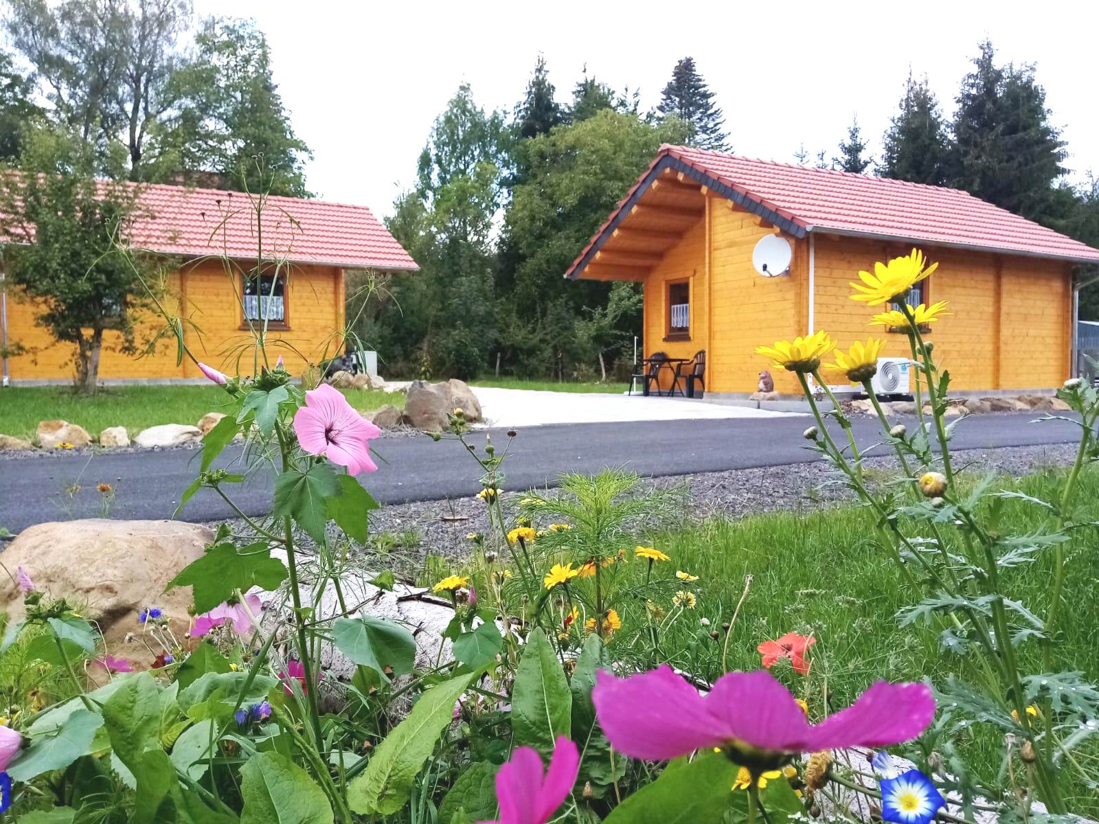 Pensionen - Art der Pension: Gasthaus mit Zimmervermietung - Frühling im Vogelsberg - Pension Grünes Paradies