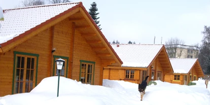 Pensionen - Hessen Nord - Winter im Vogelsberg - Pension Grünes Paradies