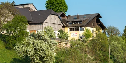 Pensionen - Sauna - Maidorf (Ried im Traunkreis, Sattledt) - Ferienhof Schneiderweg