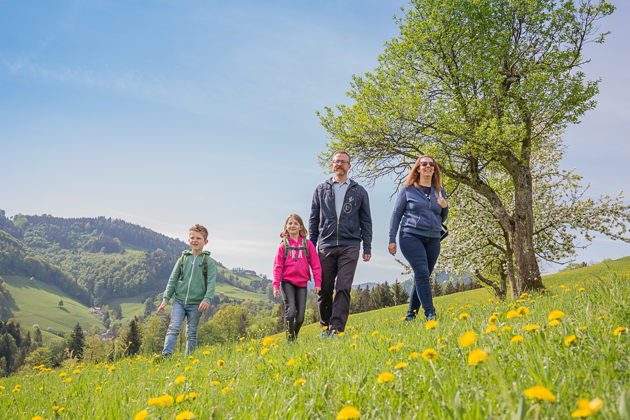 Ferienhof Pfaffenlehen Ausflugsziele 