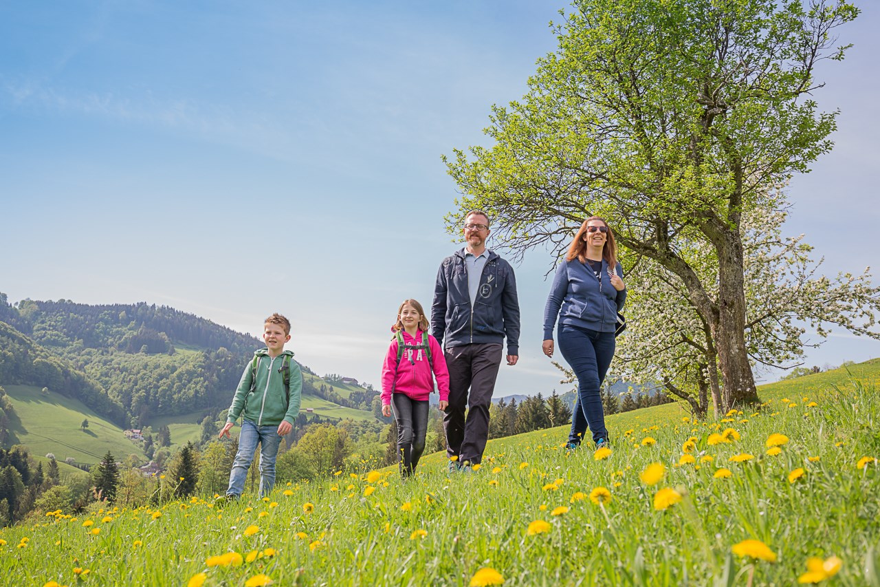 Ferienhof Pfaffenlehen Ausflugsziele 