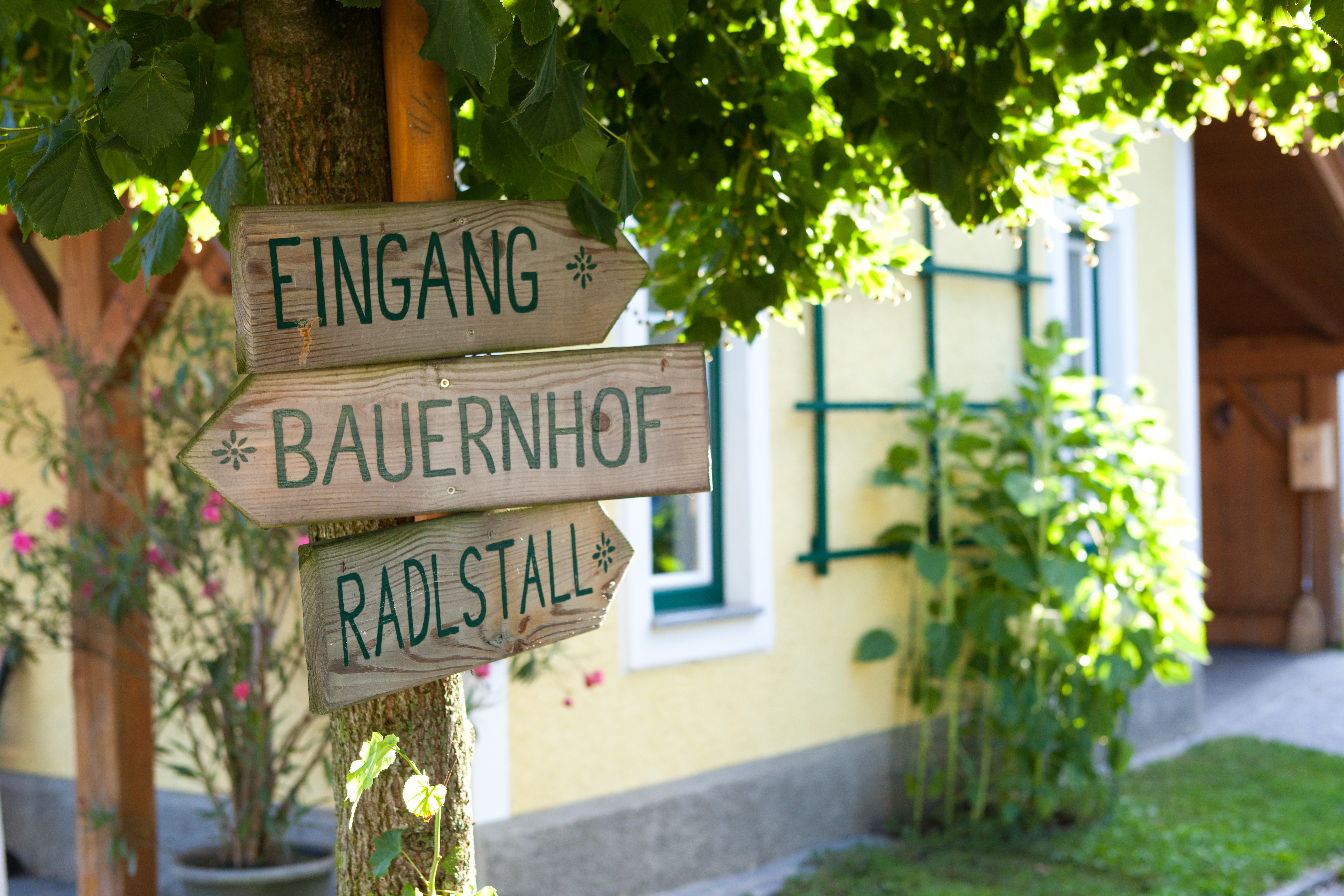 Pensionen - Parkplatz: kostenlos bei der Pension - Grein - Radlerparadies Kraglhof