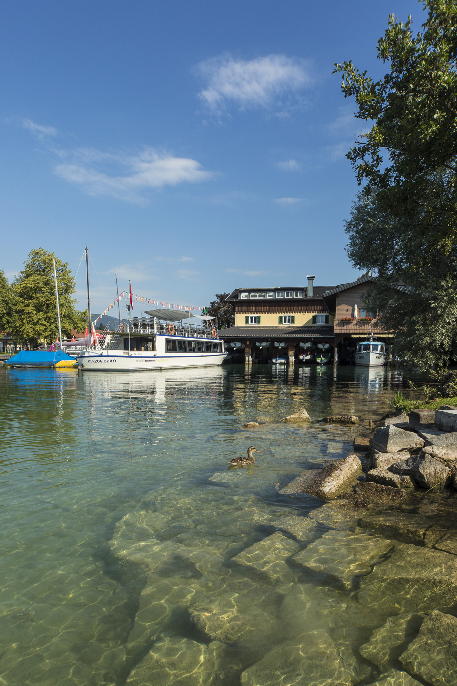 Pensionen - Puch bei Hallein - Seepension Hemetsberger am Mondsee - Seepension Hemetsberger