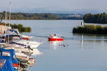 Frühstückspension: die Donau mit Blick über den schönen kleinen Hafen von Au an der Donau - Pension Au an der Donau