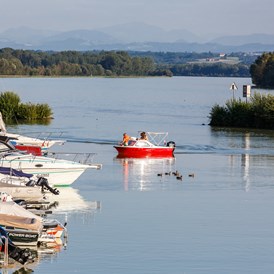 Frühstückspension: die Donau mit Blick über den schönen kleinen Hafen von Au an der Donau - Pension Au an der Donau