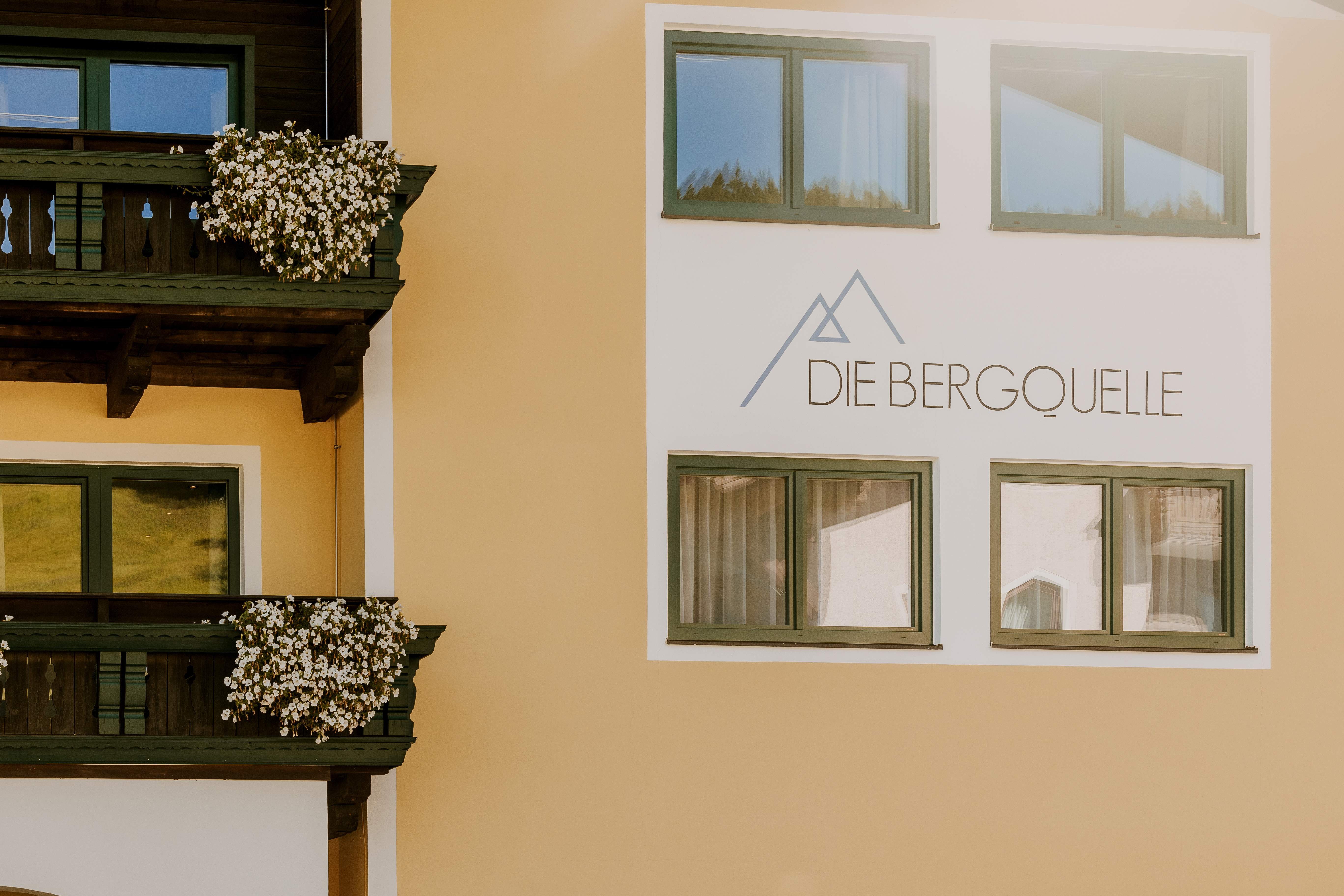 Frühstückspension: Außenansicht im Sommer - B&B Hotel Die Bergquelle