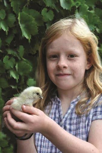 Frühstückspension: Kinder- und Familienbauernhof Christa