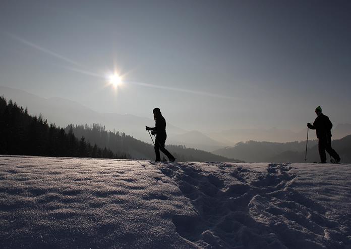 Frühstückspension: Kinder- und Familienbauernhof Christa