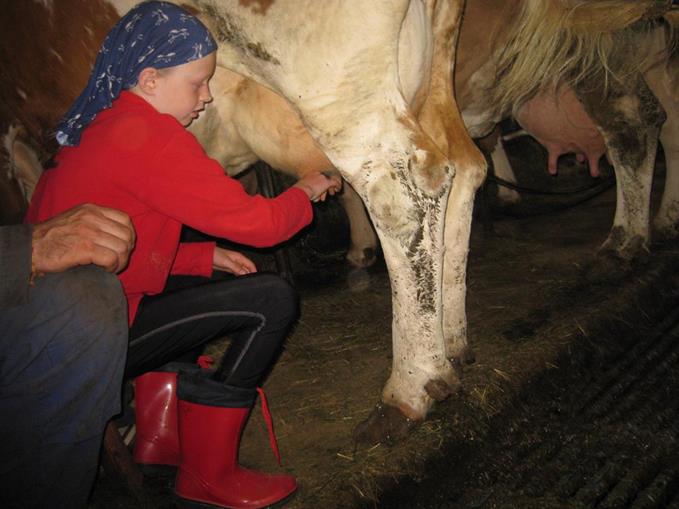 Frühstückspension: Kinder- und Familienbauernhof Christa