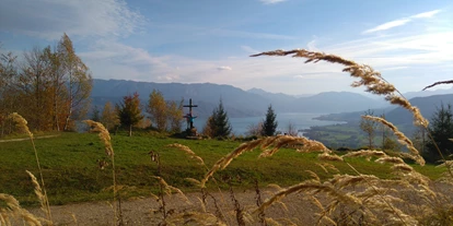 Pensionen - Art der Pension: Frühstückspension - Seewalchen am Attersee - Wanderung auf den Buchberg mit Blick zum Attersee - Pension Holzapfel