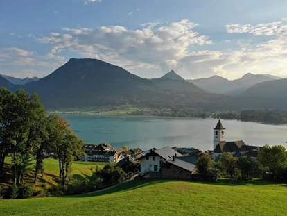 Pensionen - Art der Pension: Frühstückspension - Seewalchen am Attersee - Ausblick - Urlaub am Altroiterhof